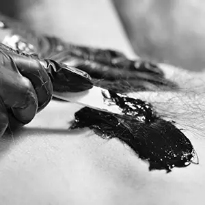 Bare Essentials Studio